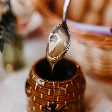 Akzent Zur Gruenen Eiche فندق 3*