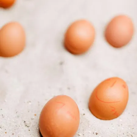 Hotel Akzent Zur Gruenen Eiche