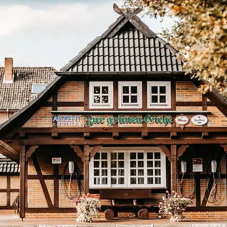 Akzent Zur Gruenen Eiche 3* بيسبينغين