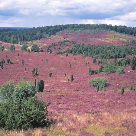 Akzent Zur Gruenen Eiche Ξενοδοχείο 3*