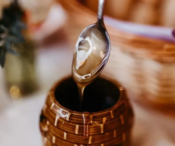 Akzent Zur Gruenen Eiche Hotel 3*