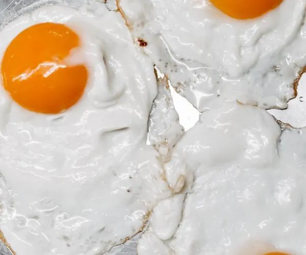 Akzent Zur Gruenen Eiche