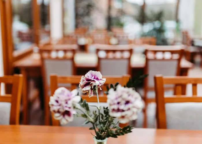 Akzent Zur Gruenen Eiche Hotel