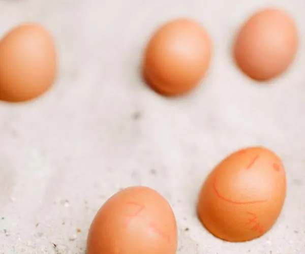 Hotel Akzent Zur Gruenen Eiche