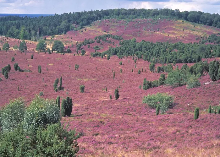 阿克曾祖尔格伦艾克酒店 酒店 3*